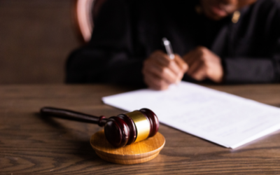 Ley Crea y Crece para 2025: objetivos y novedades de este año