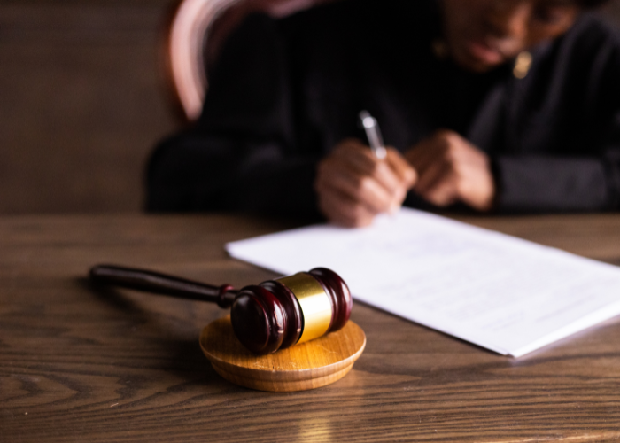 ley crea y crece 2025